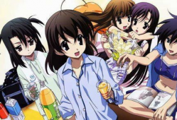 日本动漫后宫番,日本动漫中的浪漫纠葛与情感漩涡